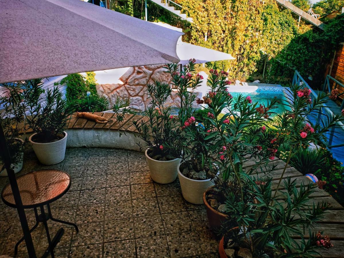 Sapar Standart Hotel Šymkent Exteriér fotografie
